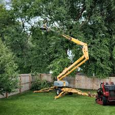 Reliable Rossville, TN  Tree Services Solutions